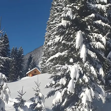 Chalet87 Tatil Evi *