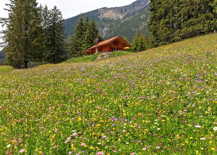 بيت للعطل Chalet87 *