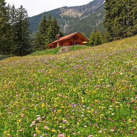 Holiday home Chalet87 *